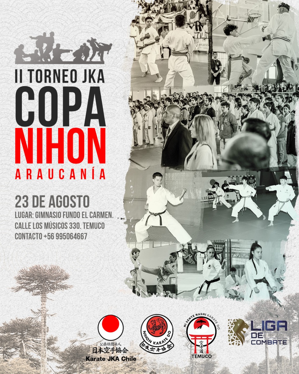 Póster oficial del torneo